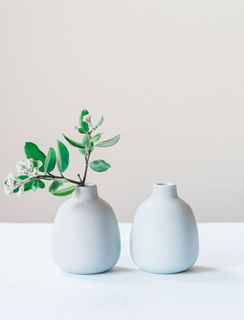 Vase med dekorativ plante